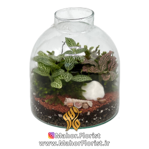تراریوم مدل لیلیوم مینی