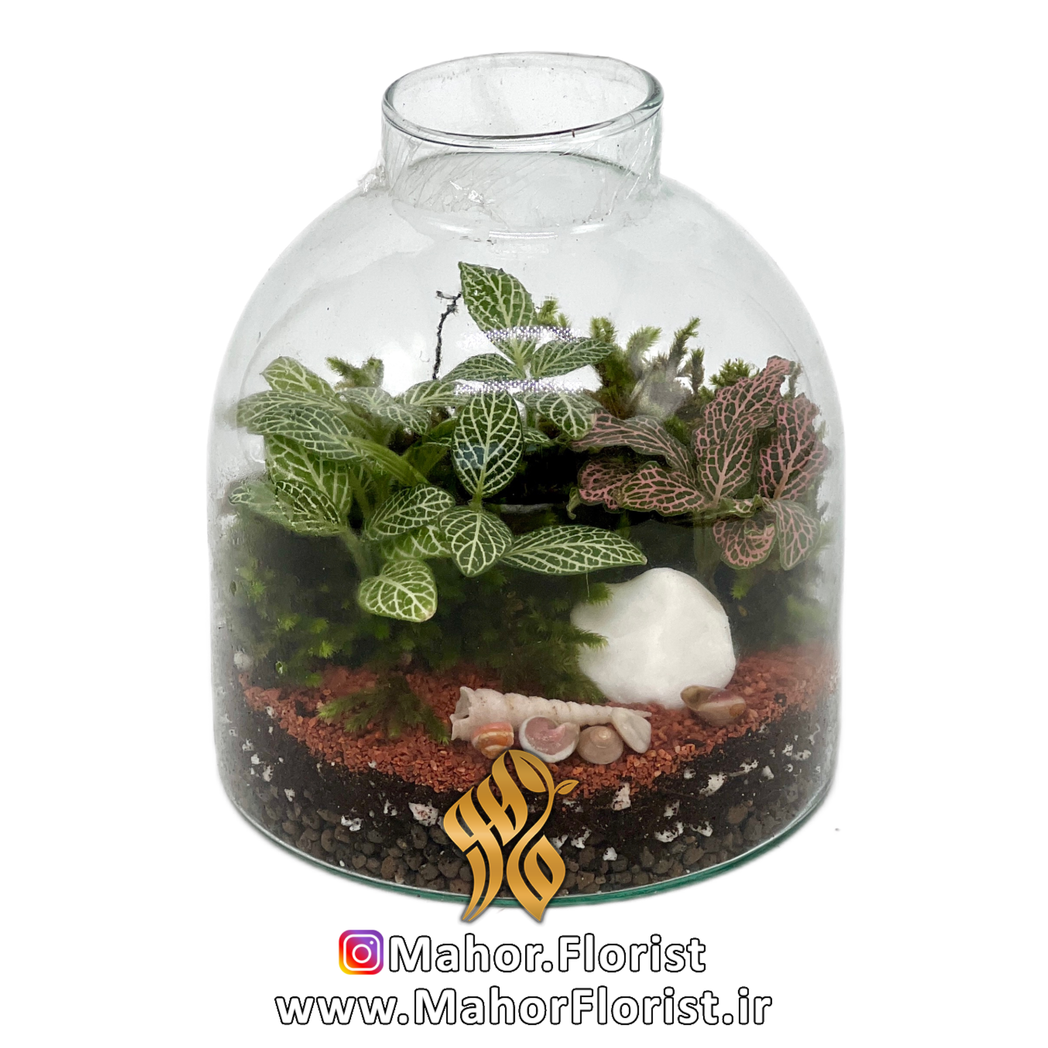 تراریوم مدل لیلیوم مینی