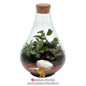 تراریوم مدل طاووس کوچک