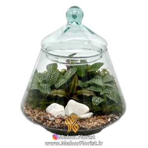 تراریوم مدل هرمی کوچک