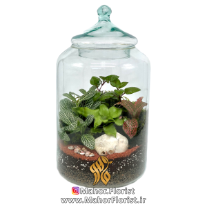 تراریوم مدل کپسولی بزرگ