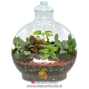 تراریوم مدل آنتالیا بزرگ