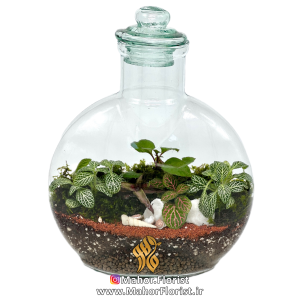 تراریوم مدل آنتالیا متوسط