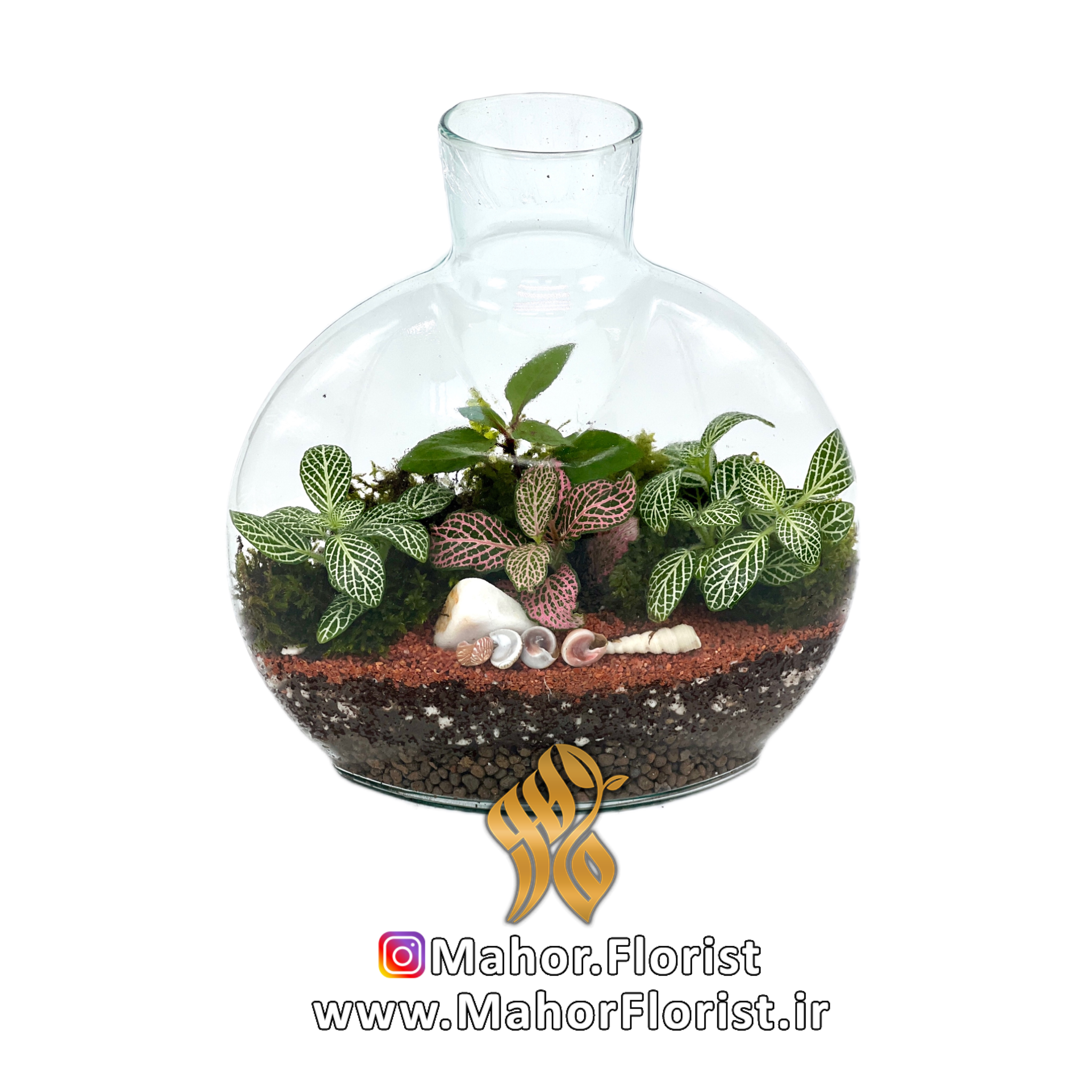 تراریوم مدل آنتالیا کوچک