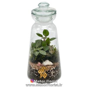 تراریوم مدل فانوسی