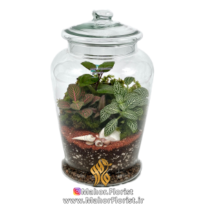 تراریوم مدل توکیو بزرگ