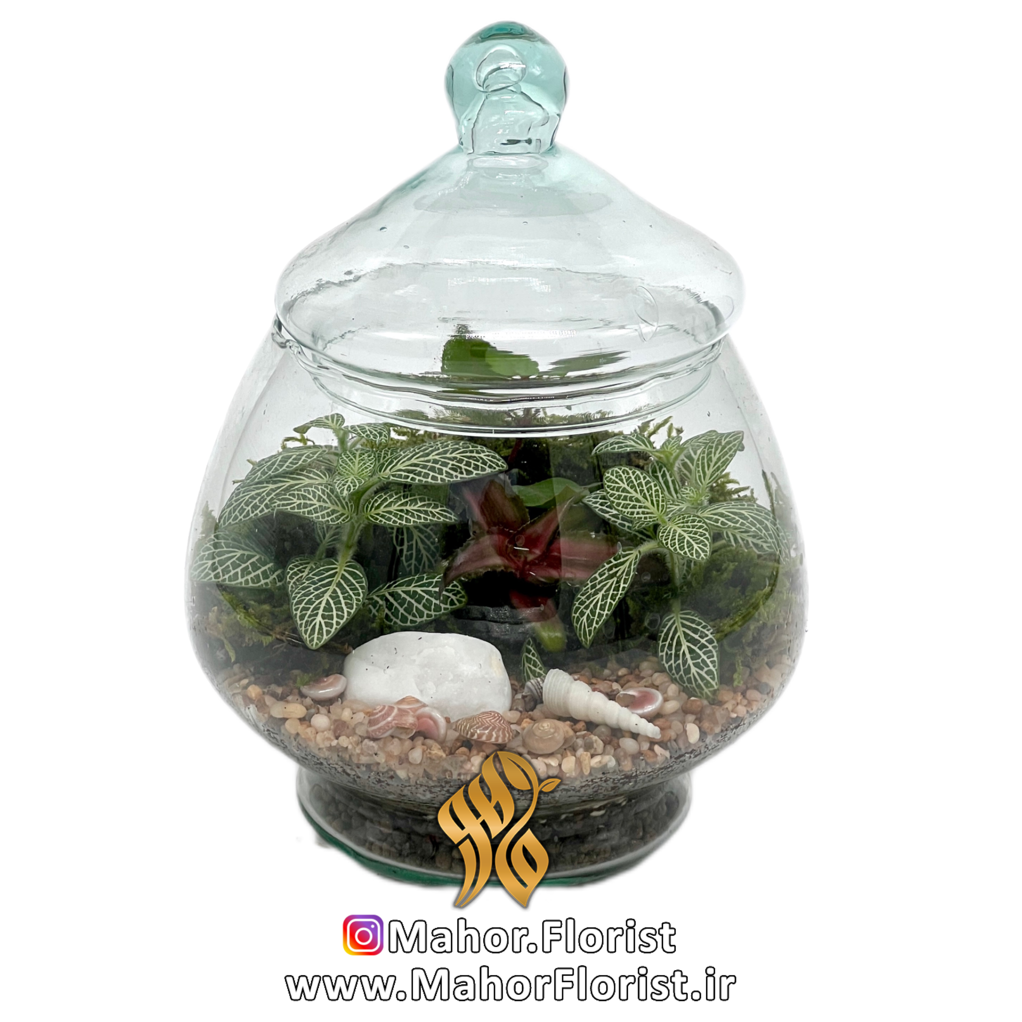 تراریوم مدل زنبق
