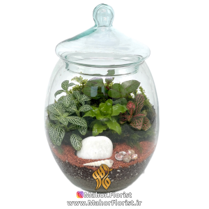 تراریوم مدل خمره‌ای کوچک